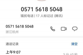 海陵为什么选择专业追讨公司来处理您的债务纠纷？