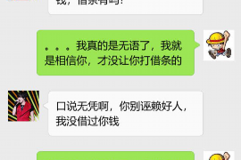 海陵专业讨债公司有哪些核心服务？